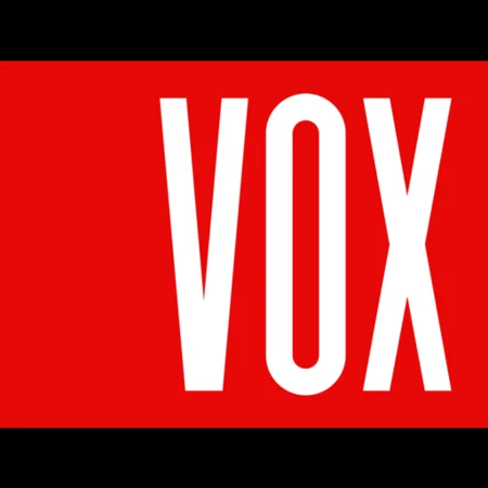 VOX Panels logo